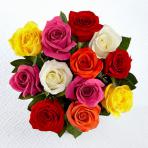 فروش شاخه گل رز هلندی به صورت اینترنتی