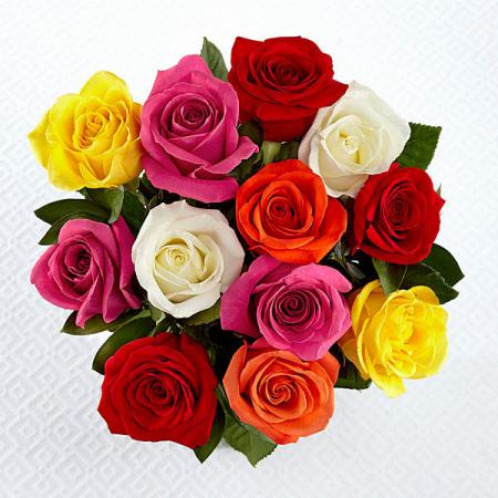 فروش شاخه گل رز هلندی به صورت اینترنتی / 09129546296