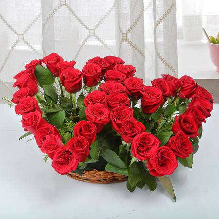 عرضه کننده گل رز ایرانی قرمز