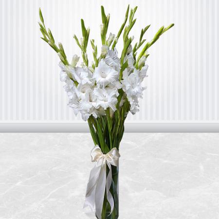 صادر کننده بهترین گل شاخه بریده گلایل سفید