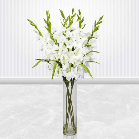 فروشنده بهترین گل شاخه بریده گلایل سفید