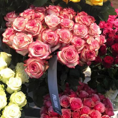 مراکز خرید گل رز شاخه بریده تازه