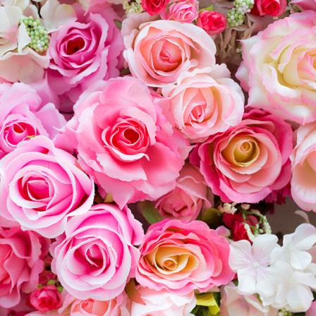 روش های تازه نگه داشتن گل رز ایرانی شاخه بریده
