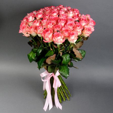 خرید گل رز هلندی شاخه بریده ارزان قیمت