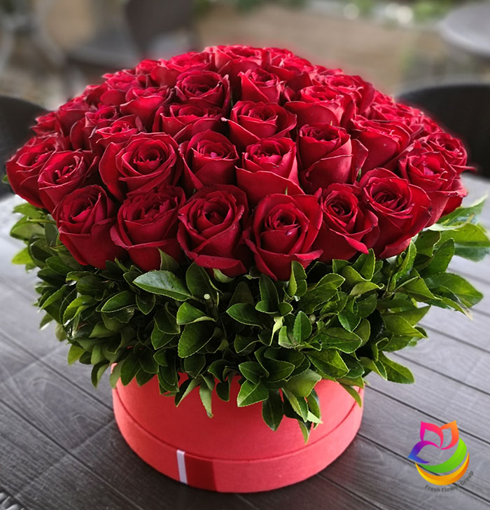 فروش گل رز هلندی در ایران